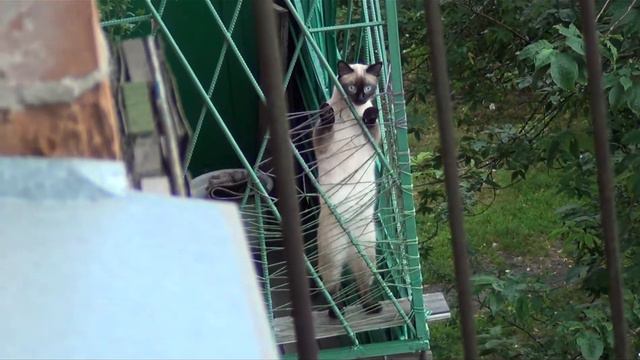 один дома смотреть онлайн