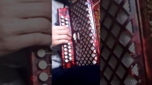 Разбор на гармони "Муравейник гр. Кино"