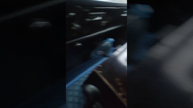 КАМАЗ💪