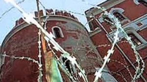 голуби летят над нашей зоной