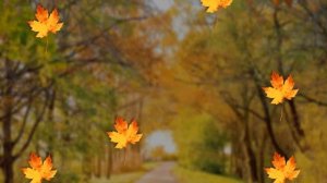 Зрительная гимнастика Листопад