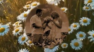 Яна Лысенко  Ромашка белая