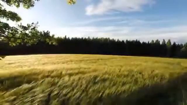 Привлекаем изобилие и благополучие в жизнь. Медитативная практика