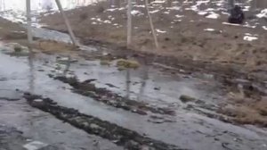 Polaris sportsman 500 touring и cfmoto x6