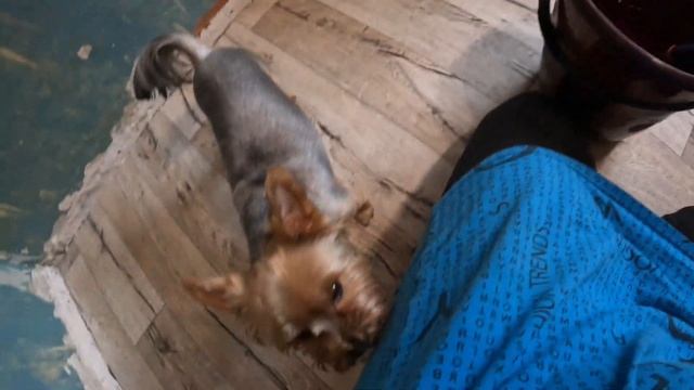 #мотивация на #ремонт/#помыла #окно/ #клею #обои/#розовый #клей/ смотреть онлайн