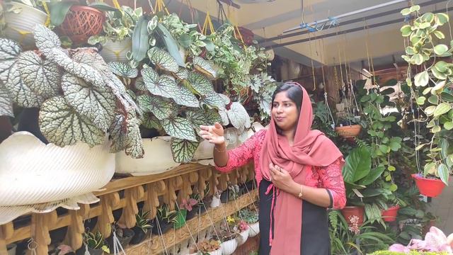|Begonia Arrangements| |Sit out|Hidayas Home Garden| |Haseena Jabbar|🌷🌿✨