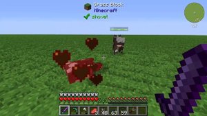 Experience Pylon ? Cyclic Tutorial 1.16.5 ? English