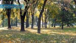 С середины сентября в Сибири начинается Бабье лето