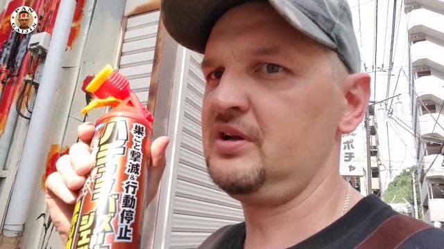 Японские шершни-убийцы твои соседи— Видео о Японии от Пан Гайджин смотреть онлайн