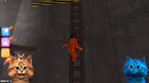 СУМАСШЕДШИЙ ПОБЕГ в Роблокс Страшная История Escape Siren Cop's Prison Весёлый Кот и КОТЁНОК ЛАЙК
