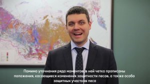 Глава Рослесхоза об изменениях в лесном законодательстве с 1 марта 2023 года. В описании ссылка НПА