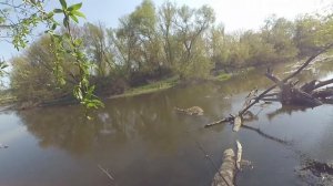 Голавлиная тема. Ловлю голавля на спиннинг.