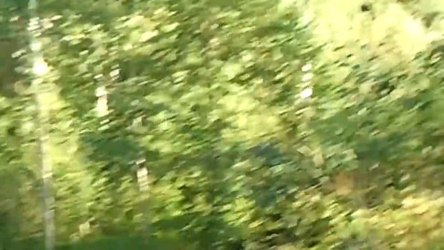 Дача Спорта 06.07.2013 (начало) смотреть онлайн