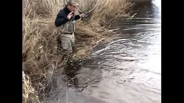 НЕРЕАЛЬНАЯ РЫБАЛКА !!!СМОТРИ НЕ ПОЖАЛЕЕШЬ!! смотреть онлайн
