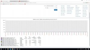 Zabbix Performance Issues Troubleshooting