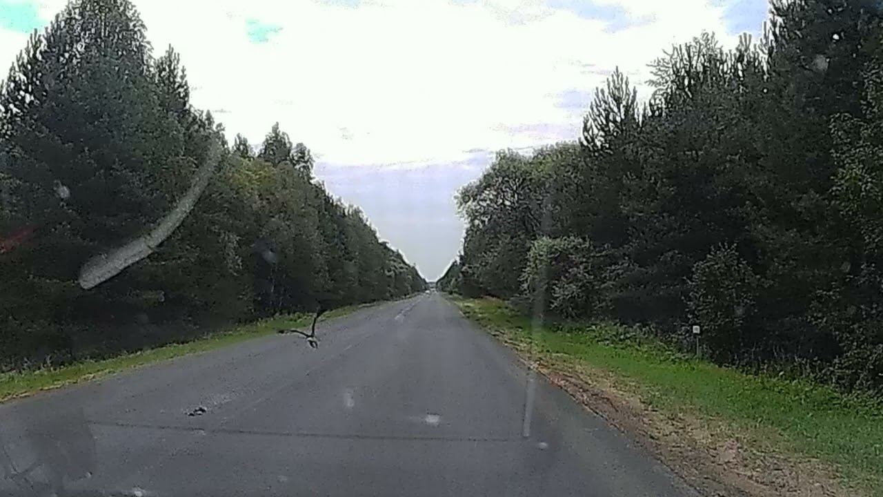 Сокол на дороге смотреть онлайн