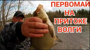 Весенний Жор Леща! 1 мая