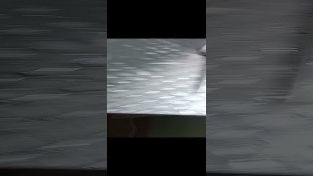 Странная вилочка смотреть онлайн