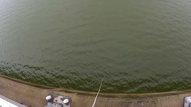 Рыбалка на паук раним утром с подписчиками #slingshotfishing #рыбалка #fishing #낚시 смотреть онлайн