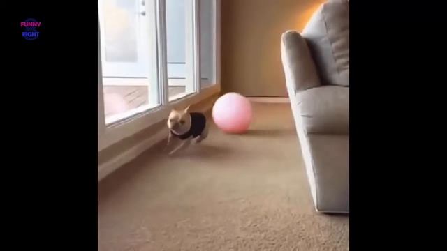 Что же случилось она разделась перед молодыми 2016 official video смотреть онлайн