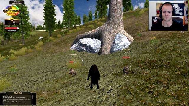 Wolf Quest - WOLF SIMULATOR, BREED, HUNT, FORM PACKS (Gameplay) смотреть онлайн