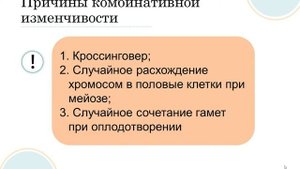 Генетика. Часть 4. Изменчивость: модификационная и наследственная. Мутации, их классификация