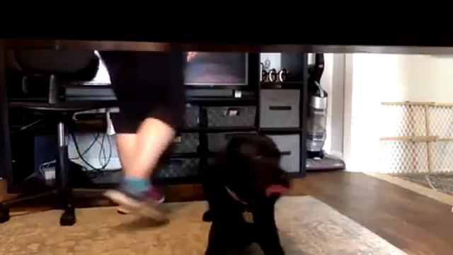 Relaxation Protocol Day 12 смотреть онлайн