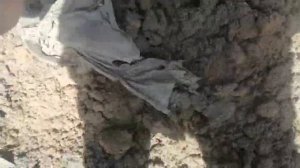 нашёл колпак от жигули маленький