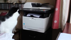 Kyocera FS-1035MFP Duplex Printing