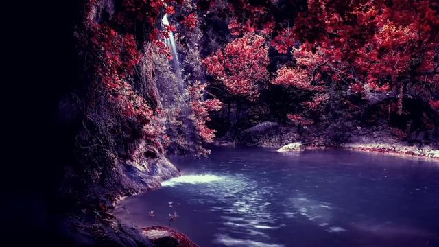 Свекровь в кафе, которое оплачивала я, на 3-хлетие моей дочери хотела пригласить кучу своей родни смотреть онлайн