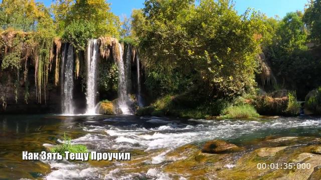 Зять заставил Тёщу замолчать Навсегда! Истории из жизни про вторую маму смотреть онлайн