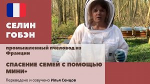Спасение безматочных пчелосемей с помощью Мини+ ранней весной/ подсадка матки с помощью Мини+