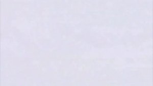 Белый медведь: ужас севера - охота на тюленя