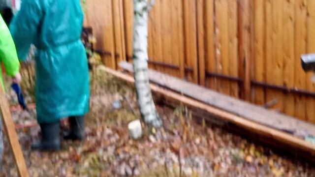 Постройка бани в Питере.Часть 6 смотреть онлайн