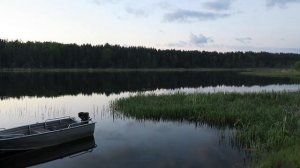 №305 ?Тверская область? Фировский район ? База отдыха УЗМЕНЬ. Озеро Глыби. Слышали кваканье лягушек