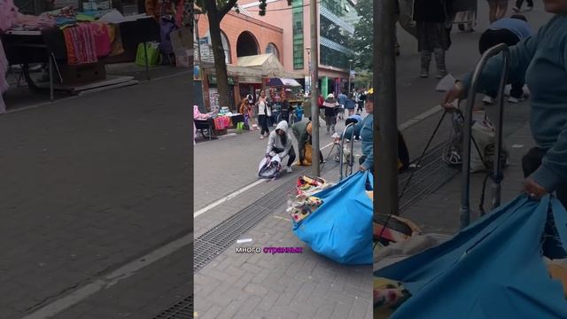 Месячное путешествие по Югу Чили и Патагонии. Большой выпуск я зафакапила, поэтому только шортсы. смотреть онлайн