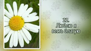 Гимны надежды 22 Люблю я весть благую (-)