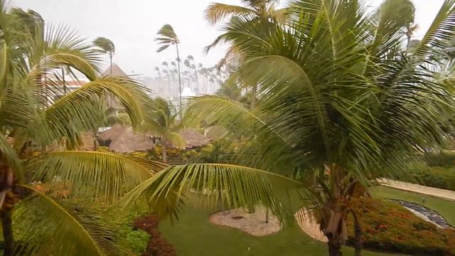 Paradisus Palma Real Punta Cana - a tropical rain from our balcony suite 3090 смотреть онлайн