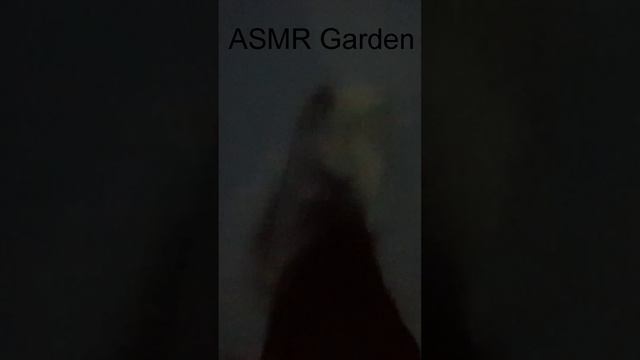 Самое лучшее асмр видео #Shorts