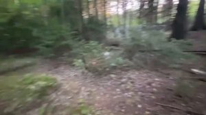 Мощный кладбищенский ОТВОРОТ / навести ОТВРАЩЕНИЕ / Авторский