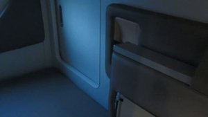 Компания РЖД представила новый концепт плацкартного пассажирского вагона габарита "Т" (2021)