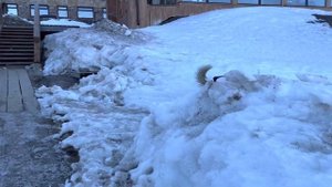 поездка из Питера в Териберку на машине/ Мурманск/ увидели КИТОВ???