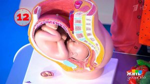 Вопрос на минуту: детская аллергия. Жить здорово! Фрагмент выпуска от 05.04.2018