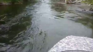 Рыбалка на реке Авача. На водомёте по протокам