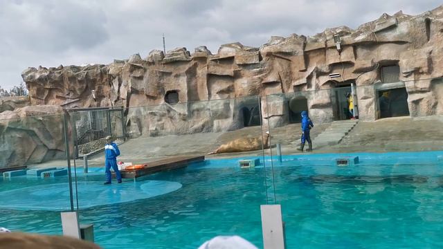 Отправить смотреть онлайн