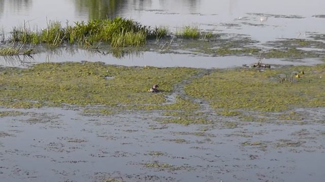 СЛАЙДШОУ ЧУПРИЯНОВКА смотреть онлайн