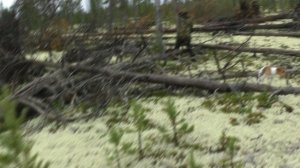 1 часть ковдор.avi