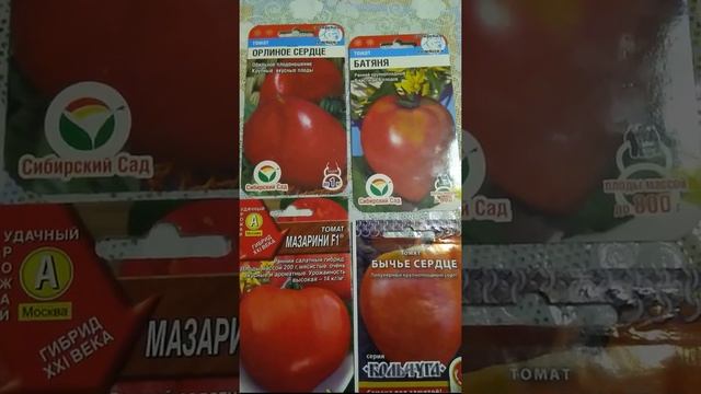 Вкусные сердцевидные, раннеспелые томаты. Delicious heart-shaped, early-maturing tomatoes.