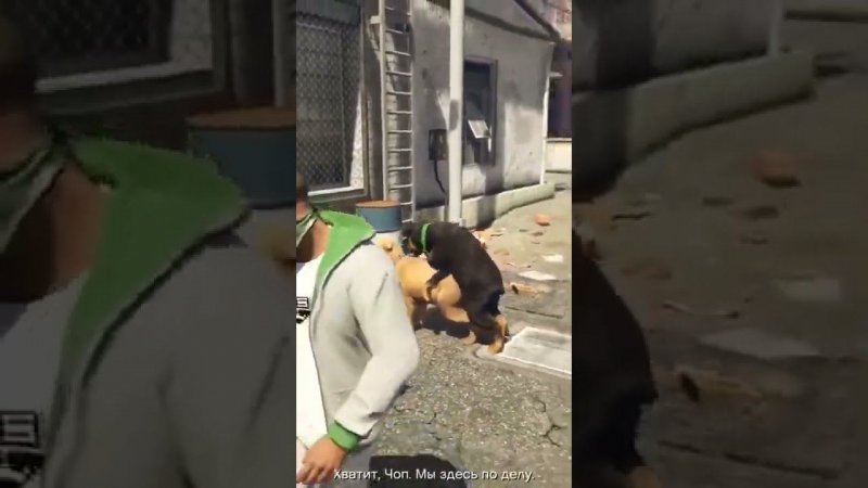 #shorts GTA V, прекращай ЧОП