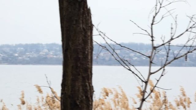 10 марта МАСЛЕНИЦА Проводы Зимы Встреча Весны Запорожье 2019 смотреть онлайн